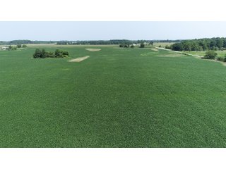 Property photo 39 - LAND AUCTION - 578+/- ACRES OFFERED IN 22 TRACTS IN DEFIANCE COUNTY, OHIO & DEKALB COUNTY, INDIANA