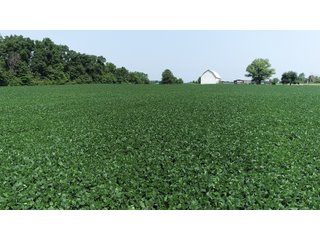 Property photo 41 - LAND AUCTION - 578+/- ACRES OFFERED IN 22 TRACTS IN DEFIANCE COUNTY, OHIO & DEKALB COUNTY, INDIANA