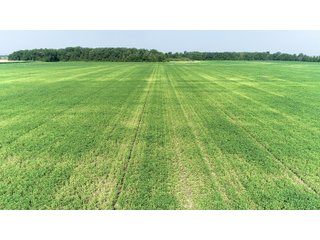 Property photo 6 - LAND AUCTION - 578+/- ACRES OFFERED IN 22 TRACTS IN DEFIANCE COUNTY, OHIO & DEKALB COUNTY, INDIANA