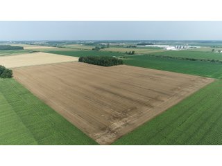 Property photo 8 - LAND AUCTION - 578+/- ACRES OFFERED IN 22 TRACTS IN DEFIANCE COUNTY, OHIO & DEKALB COUNTY, INDIANA