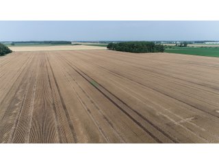 Property photo 9 - LAND AUCTION - 578+/- ACRES OFFERED IN 22 TRACTS IN DEFIANCE COUNTY, OHIO & DEKALB COUNTY, INDIANA