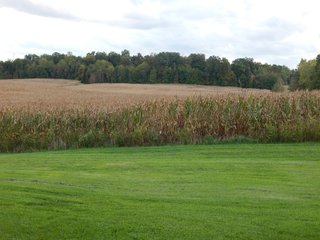 Property photo 26 - LAND AUCTION - 134+/- ACRES OFFERED IN 5 TRACTS IN WHITLEY COUNTY, INDIANA