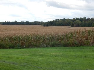 Property photo 25 - LAND AUCTION - 134+/- ACRES OFFERED IN 5 TRACTS IN WHITLEY COUNTY, INDIANA