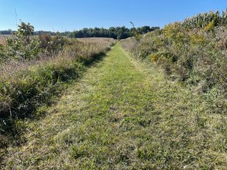 Property photo 24 - LAND AUCTION - 134+/- ACRES OFFERED IN 5 TRACTS IN WHITLEY COUNTY, INDIANA