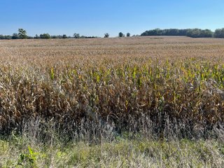 Property photo 23 - LAND AUCTION - 134+/- ACRES OFFERED IN 5 TRACTS IN WHITLEY COUNTY, INDIANA