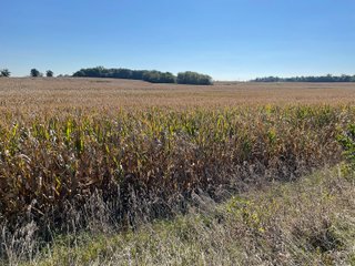 Property photo 22 - LAND AUCTION - 134+/- ACRES OFFERED IN 5 TRACTS IN WHITLEY COUNTY, INDIANA