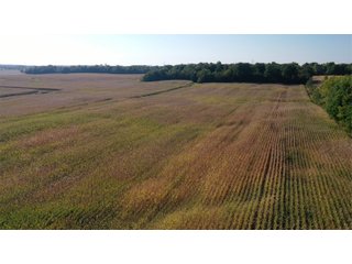 Property photo 3 - LAND AUCTION - 134+/- ACRES OFFERED IN 5 TRACTS IN WHITLEY COUNTY, INDIANA