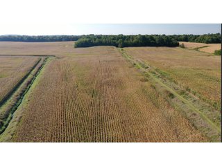 Property photo 4 - LAND AUCTION - 134+/- ACRES OFFERED IN 5 TRACTS IN WHITLEY COUNTY, INDIANA