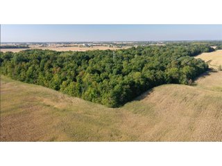 Property photo 5 - LAND AUCTION - 134+/- ACRES OFFERED IN 5 TRACTS IN WHITLEY COUNTY, INDIANA