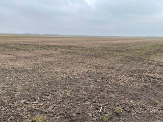 Property photo 4 - LAND AUCTION - 89+/- ACRES OFFERED IN 1 TRACT IN BENTON COUNTY, INDIANA