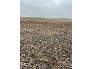 Property photo 3 - LAND AUCTION - 89+/- ACRES OFFERED IN 1 TRACT IN BENTON COUNTY, INDIANA