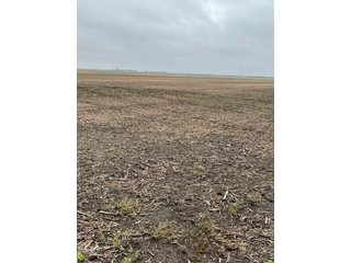 Property photo 2 - LAND AUCTION - 89+/- ACRES OFFERED IN 1 TRACT IN BENTON COUNTY, INDIANA