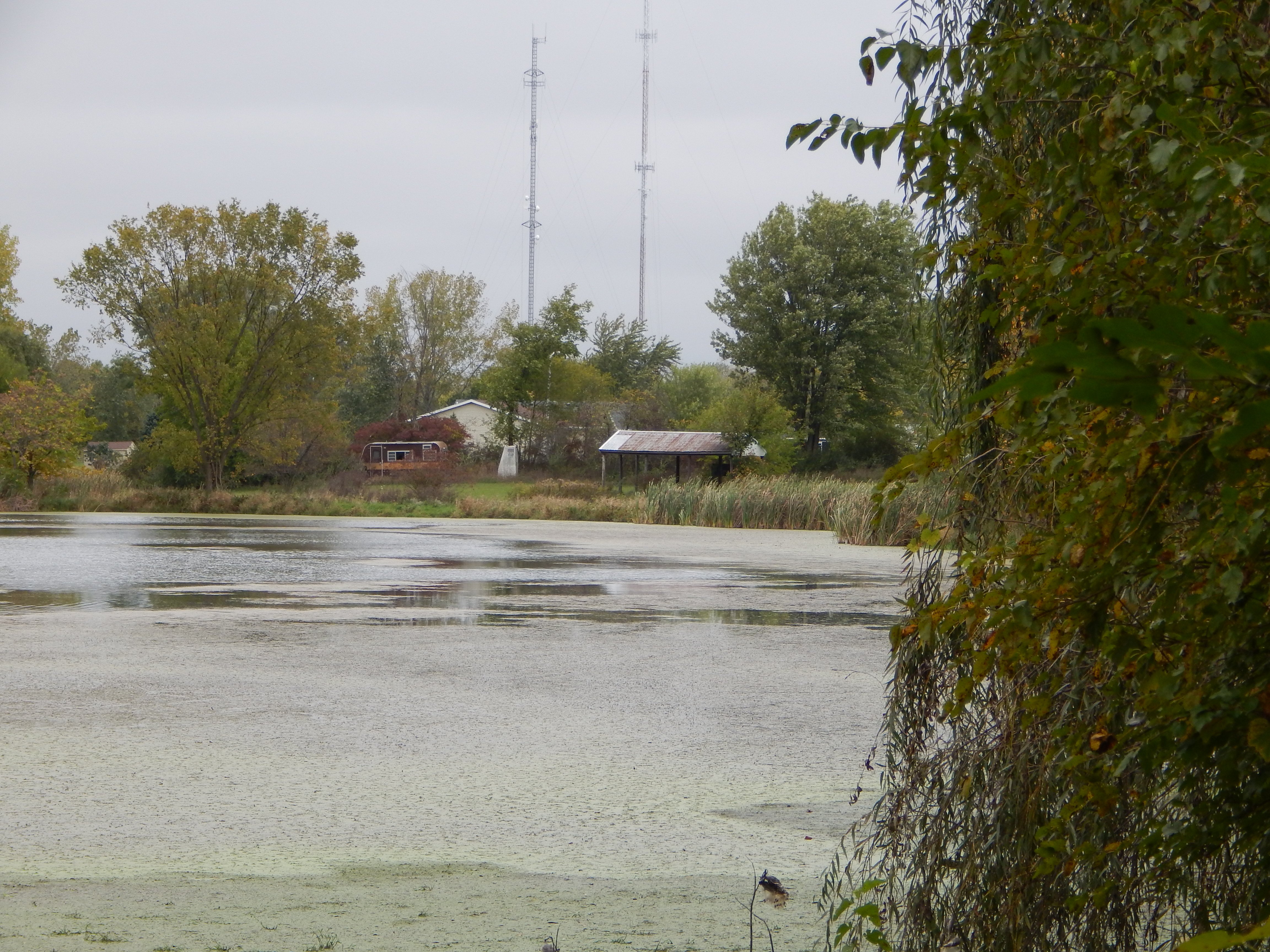 Property photo 11 - TIMED ONLINE ONLY REAL ESTATE AUCTION - 7.9+/- ACRES OFFERED IN 1 TRACT IN WHITLEY COUNTY, INDIANA