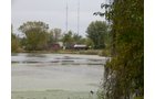 Property photo 11 - TIMED ONLINE ONLY REAL ESTATE AUCTION - 7.9+/- ACRES OFFERED IN 1 TRACT IN WHITLEY COUNTY, INDIANA