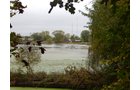 Property photo 12 - TIMED ONLINE ONLY REAL ESTATE AUCTION - 7.9+/- ACRES OFFERED IN 1 TRACT IN WHITLEY COUNTY, INDIANA