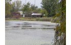 Property photo 13 - TIMED ONLINE ONLY REAL ESTATE AUCTION - 7.9+/- ACRES OFFERED IN 1 TRACT IN WHITLEY COUNTY, INDIANA