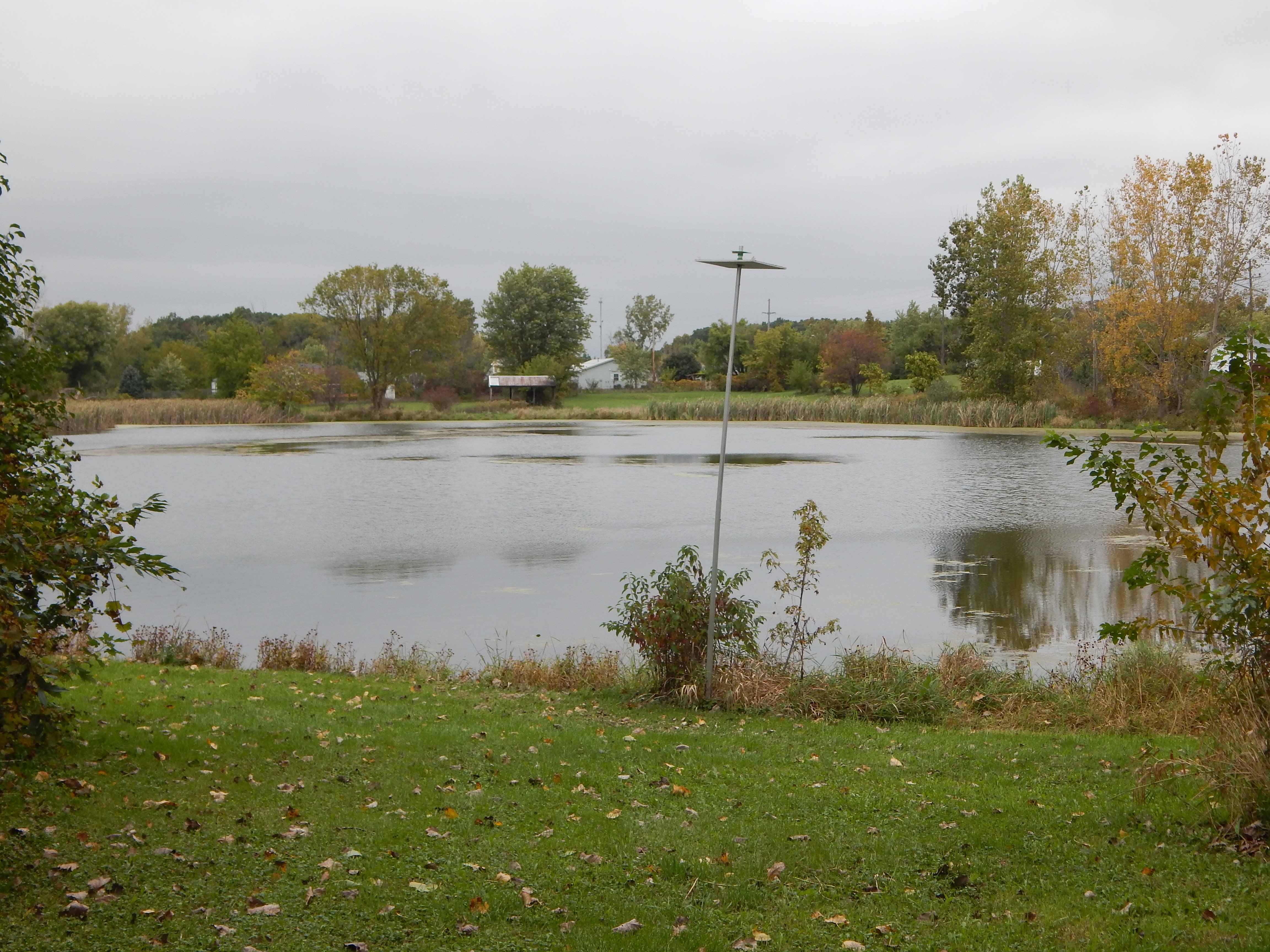 Property photo 16 - TIMED ONLINE ONLY REAL ESTATE AUCTION - 7.9+/- ACRES OFFERED IN 1 TRACT IN WHITLEY COUNTY, INDIANA