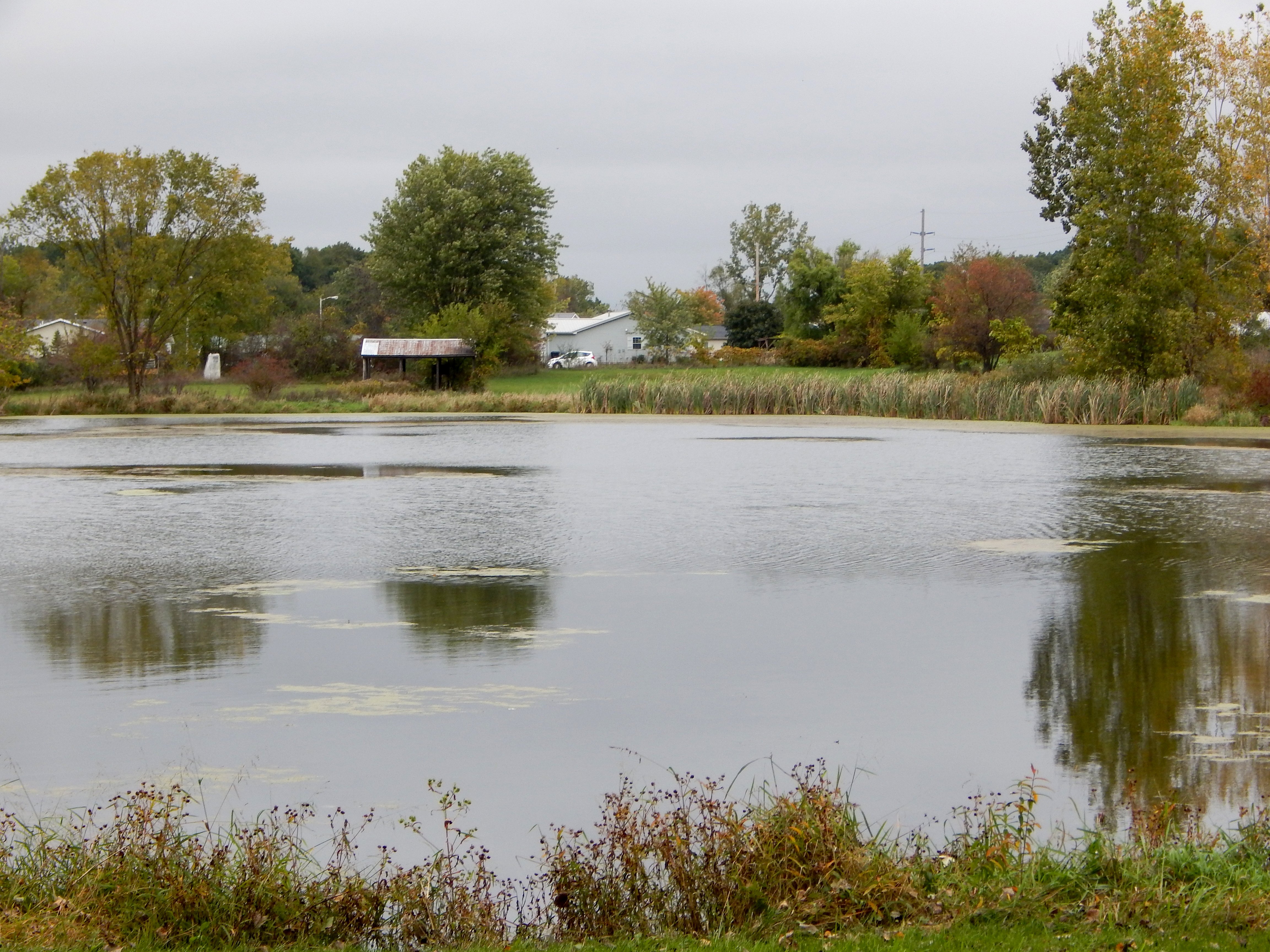 Property photo 17 - TIMED ONLINE ONLY REAL ESTATE AUCTION - 7.9+/- ACRES OFFERED IN 1 TRACT IN WHITLEY COUNTY, INDIANA
