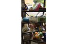 Property photo 78 - TIMED ONLINE ONLY PERSONAL PROPERTY AUCTION - STEUBEN COUNTY, INDIANA