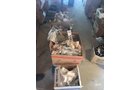 Property photo 250 - TIMED ONLINE ONLY PERSONAL PROPERTY AUCTION - STEUBEN COUNTY, INDIANA