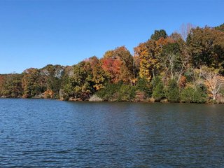 Property photo 13 - LAND AUCTION - 356+/- ACRES OFFERED IN 37 TRACTS IN FRANKLIN COUNTY, VIRGINIA
