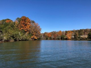 Property photo 14 - LAND AUCTION - 356+/- ACRES OFFERED IN 37 TRACTS IN FRANKLIN COUNTY, VIRGINIA