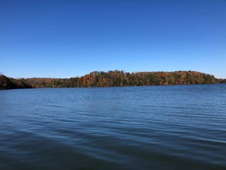 Property photo 15 - LAND AUCTION - 356+/- ACRES OFFERED IN 37 TRACTS IN FRANKLIN COUNTY, VIRGINIA