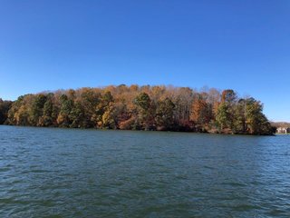 Property photo 16 - LAND AUCTION - 356+/- ACRES OFFERED IN 37 TRACTS IN FRANKLIN COUNTY, VIRGINIA