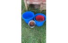 Property photo 166 - TIMED ONLINE ONLY - PERSONAL PROPERTY AUCTION IN ALLEN COUNTY, INDIANA