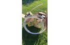 Property photo 171 - TIMED ONLINE ONLY - PERSONAL PROPERTY AUCTION IN ALLEN COUNTY, INDIANA