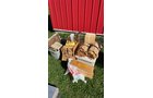 Property photo 158 - TIMED ONLINE ONLY - PERSONAL PROPERTY AUCTION IN ALLEN COUNTY, INDIANA