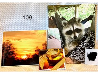 Property photo 113 - Timed Online Only Annual Benefit Charity Auction