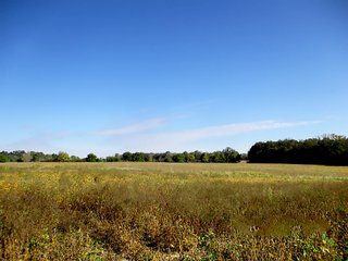 Property photo 2 - LAND AUCTION - 146+/- ACRES OFFERED IN 5 TRACTS IN WAYNE COUNTY, INDIANA