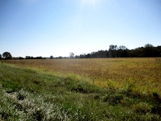 Property photo 7 - LAND AUCTION - 146+/- ACRES OFFERED IN 5 TRACTS IN WAYNE COUNTY, INDIANA
