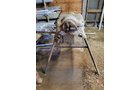 Property photo 98 - TIMED ONLINE ONLY - PERSONAL PROPERTY AUCTION IN WABASH COUNTY, INDIANA