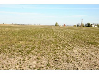 Tract 3 - LAND AUCTION - 181.15+/- ACRES OFFERED IN 3 TRACTS IN VERMILION COUNTY, ILLINOIS