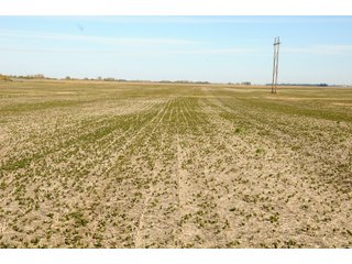 Tract 3 - LAND AUCTION - 181.15+/- ACRES OFFERED IN 3 TRACTS IN VERMILION COUNTY, ILLINOIS