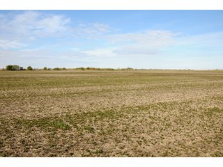 Tract 3 - LAND AUCTION - 181.15+/- ACRES OFFERED IN 3 TRACTS IN VERMILION COUNTY, ILLINOIS