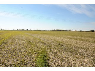 Tract 3 - LAND AUCTION - 181.15+/- ACRES OFFERED IN 3 TRACTS IN VERMILION COUNTY, ILLINOIS
