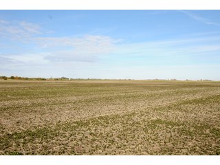 Tract 3 - LAND AUCTION - 181.15+/- ACRES OFFERED IN 3 TRACTS IN VERMILION COUNTY, ILLINOIS