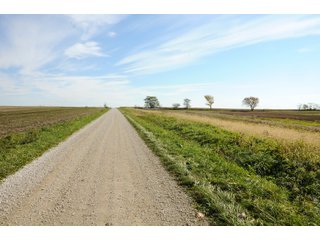 Tract 1 - LAND AUCTION - 181.15+/- ACRES OFFERED IN 3 TRACTS IN VERMILION COUNTY, ILLINOIS