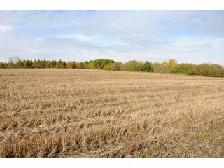 Tract 1 - LAND AUCTION - 181.15+/- ACRES OFFERED IN 3 TRACTS IN VERMILION COUNTY, ILLINOIS