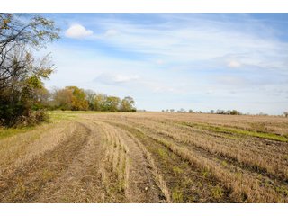 Tract 1 - LAND AUCTION - 181.15+/- ACRES OFFERED IN 3 TRACTS IN VERMILION COUNTY, ILLINOIS
