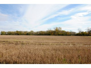 Tract 1 - LAND AUCTION - 181.15+/- ACRES OFFERED IN 3 TRACTS IN VERMILION COUNTY, ILLINOIS