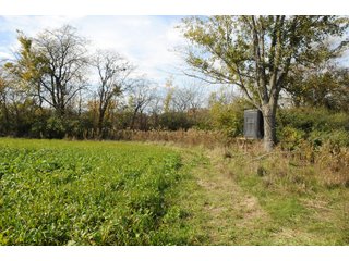 Tract 2 - LAND AUCTION - 181.15+/- ACRES OFFERED IN 3 TRACTS IN VERMILION COUNTY, ILLINOIS