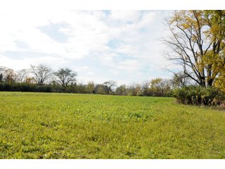 Tract 2 - LAND AUCTION - 181.15+/- ACRES OFFERED IN 3 TRACTS IN VERMILION COUNTY, ILLINOIS