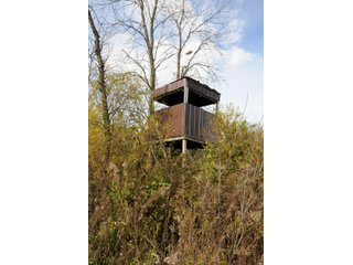 Tract 2 - LAND AUCTION - 181.15+/- ACRES OFFERED IN 3 TRACTS IN VERMILION COUNTY, ILLINOIS