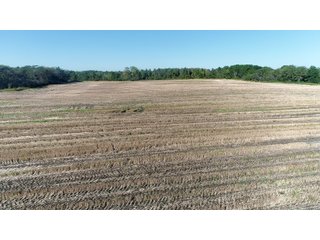 Property photo 25 - LAND AUCTION - 181.15+/- ACRES OFFERED IN 3 TRACTS IN VERMILION COUNTY, ILLINOIS