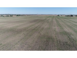 Property photo 22 - LAND AUCTION - 181.15+/- ACRES OFFERED IN 3 TRACTS IN VERMILION COUNTY, ILLINOIS