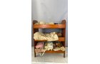 Property photo 50 - TIMED ONLINE ONLY - PERSONAL PROPERTY AUCTION - ALLEN COUNTY, INDIANA